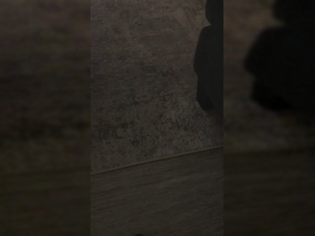 Yo
