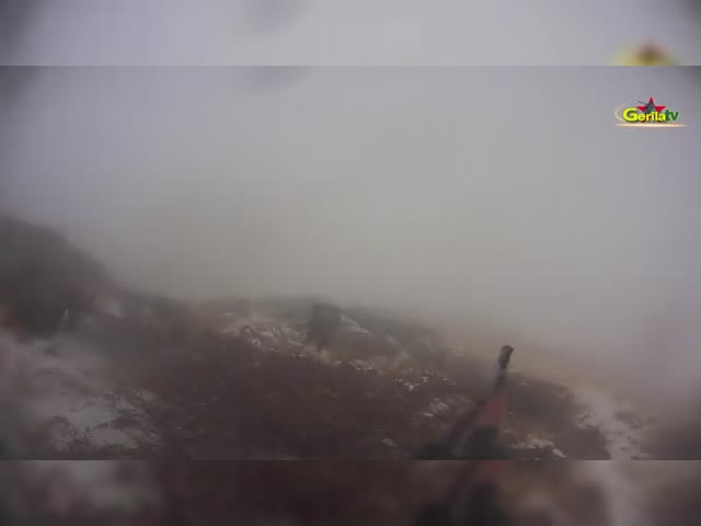 ef80dec93_360.mp4