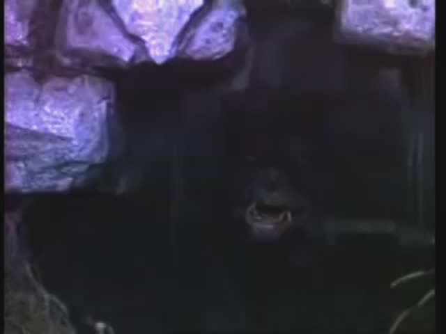 La Nada.mp4