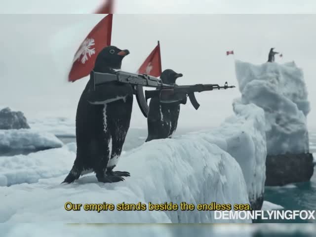 пингв.mp4