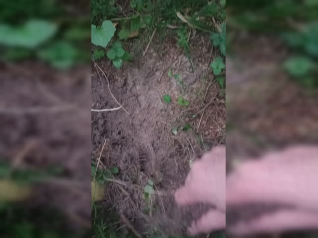 VID20230909185501.mp4