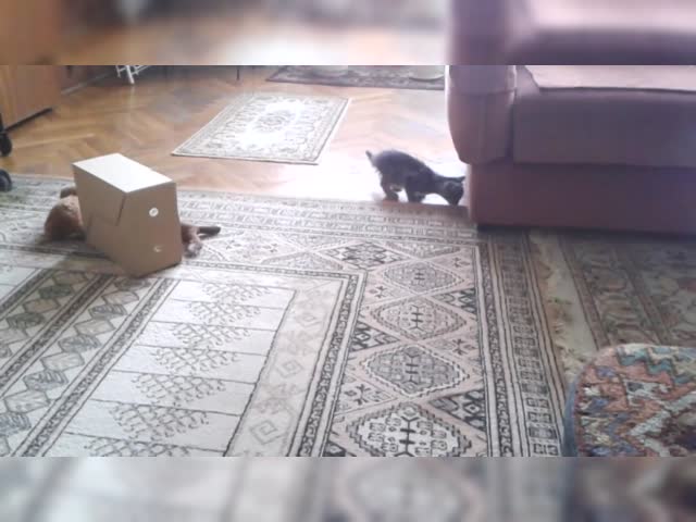 1000001553.mp4