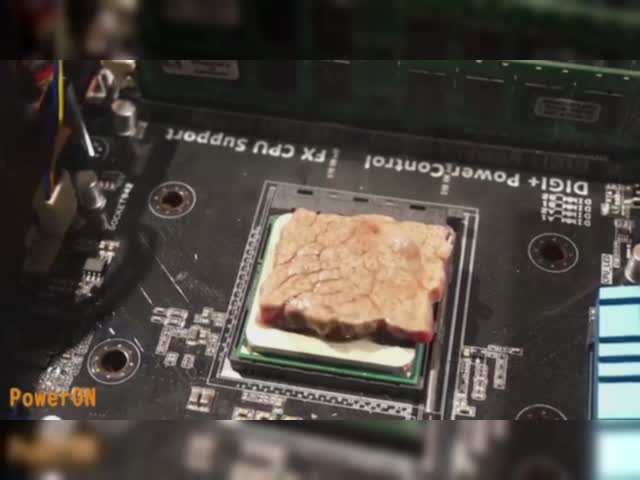 boeuf du CPU