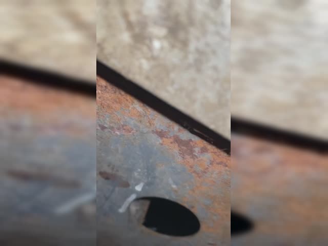 7037436289110634892.mov