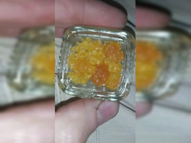 VID_32321008_032436_359.mp4