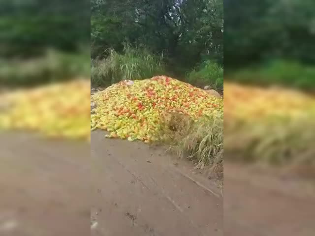 яблоки.mp4