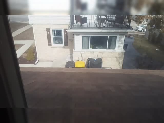 Bye Bye Carl Bear