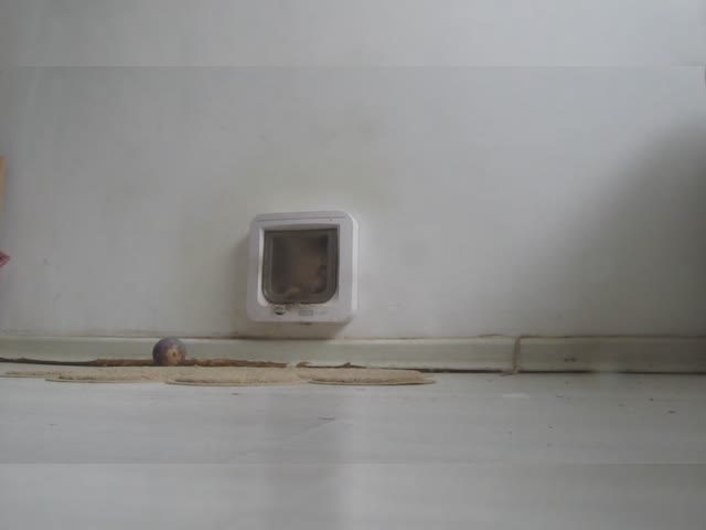 MVI_0996.mp4