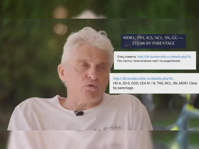 lv_0_20231231184346.mp4