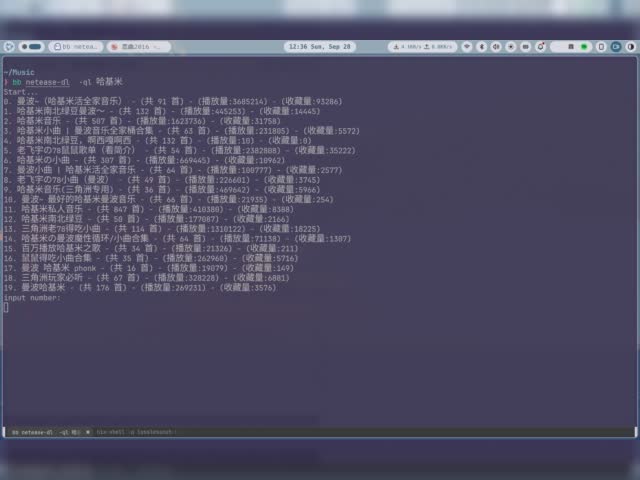 netease-dl-show