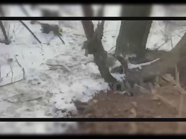 55555555555555555555555.wmv