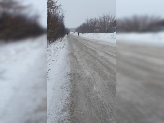 VID_20230213_215249_621.mp4.mov