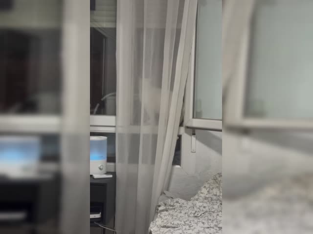ss1.mp4
