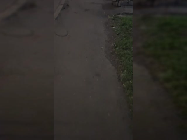 trim.BF042FF3-8916-4B6B-BB31-69E496CE2835.MOV
