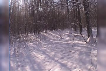 Short walk