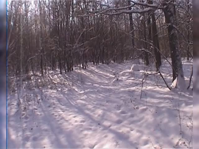 Short walk