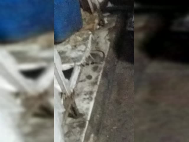 Charopinho nos frios