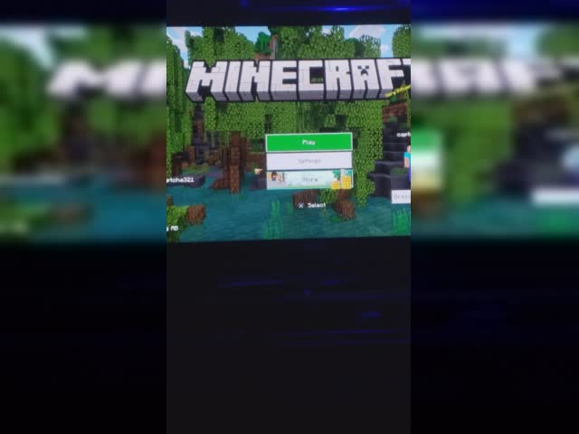 Minecraft