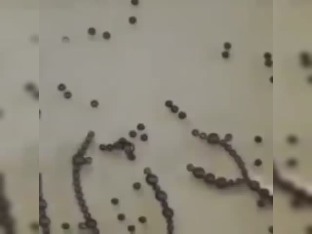 Self-assembling graphene oxide (GO) vector