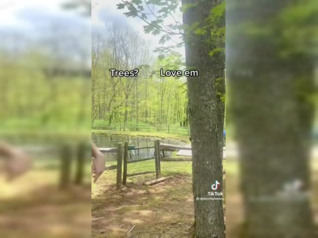ZCSG5hwEwdjREDZq.mp4