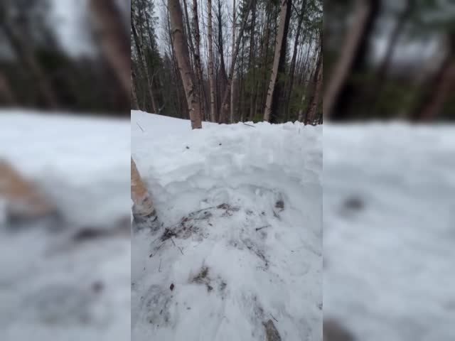720p_Видео_от_Руслан_Халлиулов (1).mp4