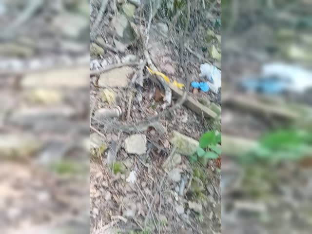 VID20240623131313.mp4