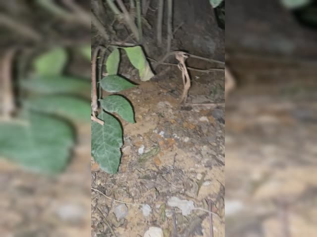 rabota