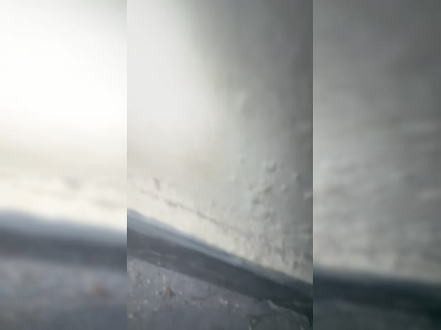 7707337102699490834.mov