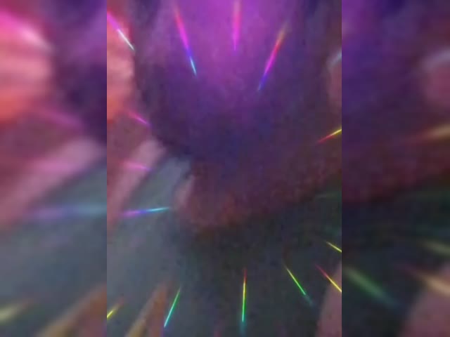 274261218_916662009031421_1680172615617459270_n-1.mp4