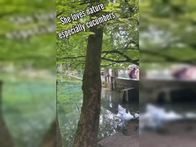 daya_na10  IG aka dariachubar1 TikTok .mp4