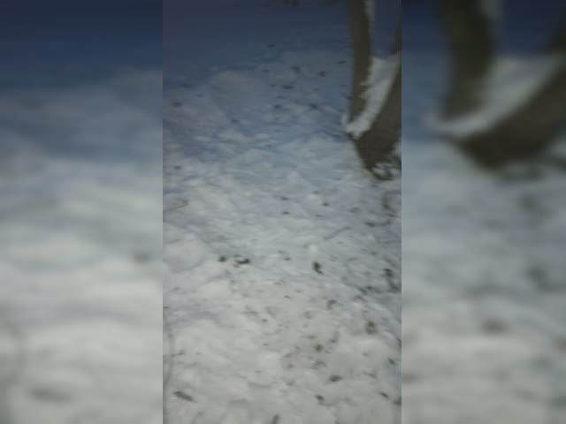 VID_20221231_173557.mp4