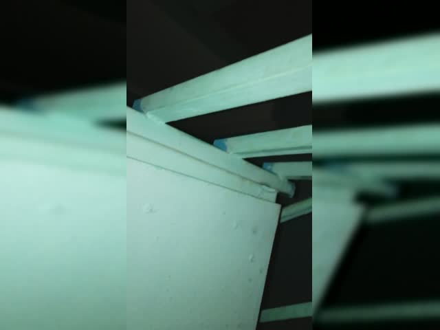 VID_20231129_064512.mp4