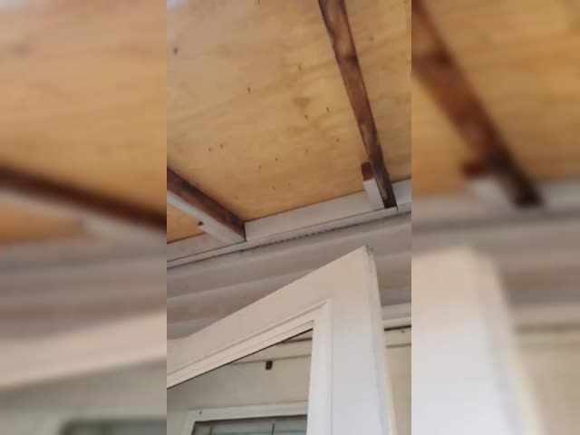 Door roof