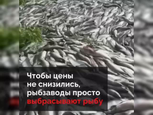 рыба
