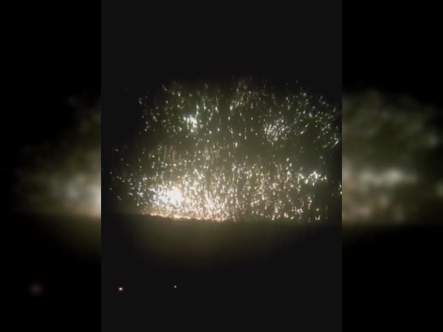 IMG_8003.mp4