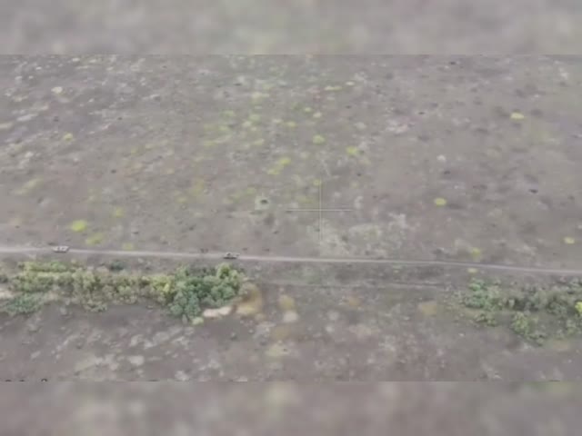 video5345879792568770319.mp4