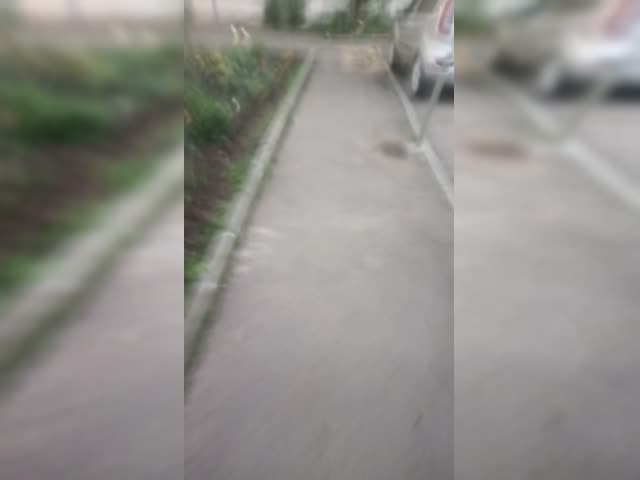 Секреты счастья