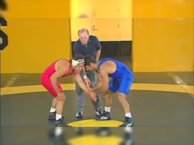 Advanced Wrestling Techniques