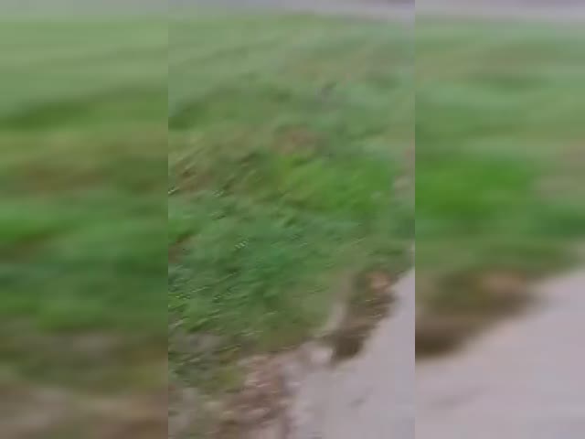 video_2022-09-22_17-22-12.mp4