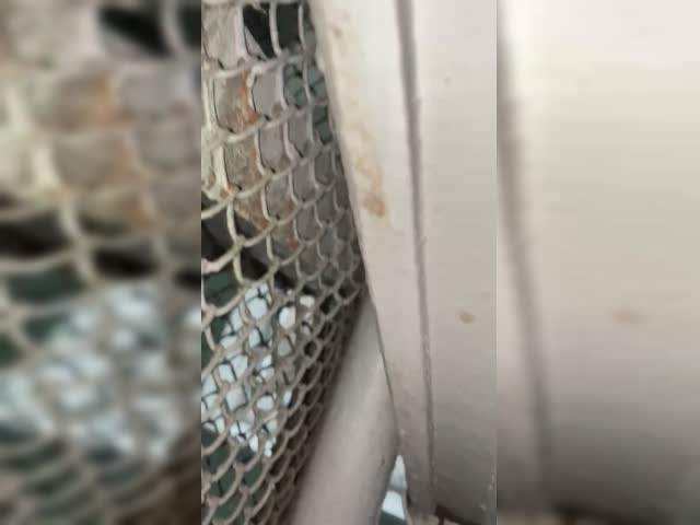 trim.8197F038-2E33-4E10-9ABE-C6312B314F15.MOV