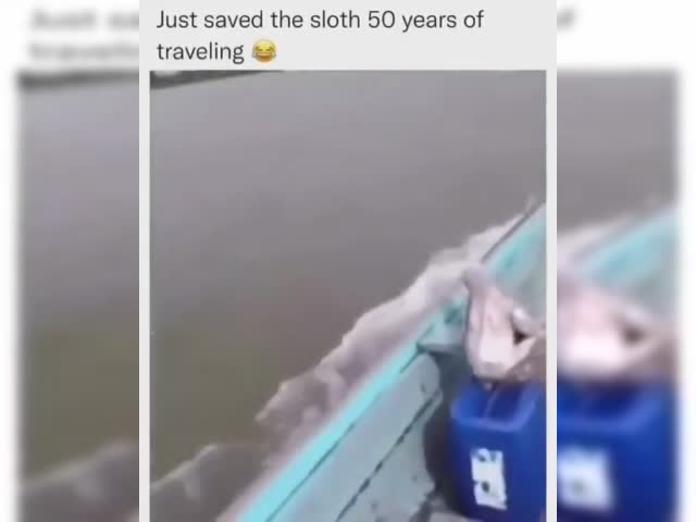 aWGd453_460sv.mp4