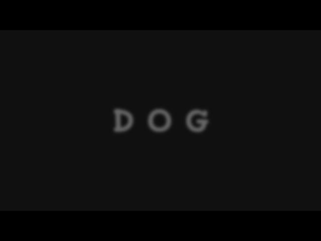 DogCatDifferent