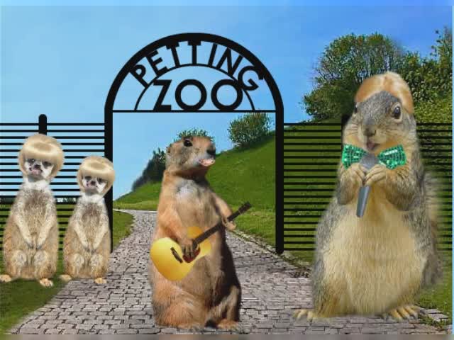 petting zoo