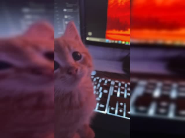 Uwu