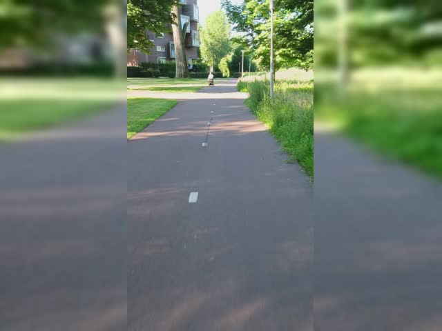 VID_20220616_084846.mp4