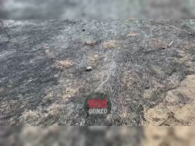 VID_20220321_194430_840.mp4.mov