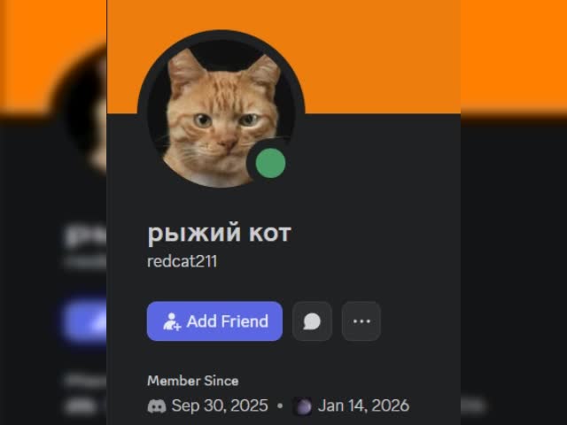 we are looking for this guy