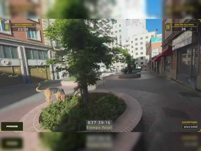 d19.mp4
