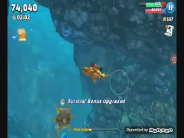 Gun Shark Control