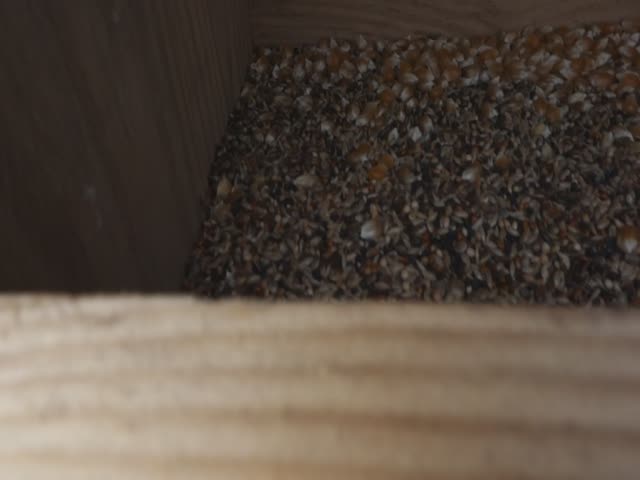 popcorn
